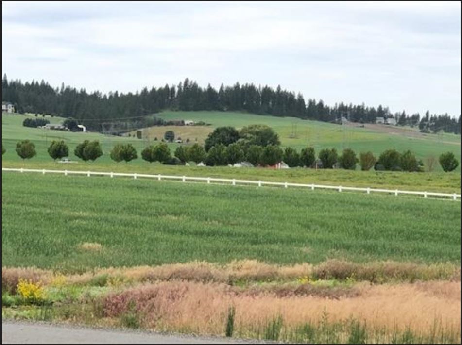 11307 North Bruce Road Mead, WA 99021 - Photo 2 of 4