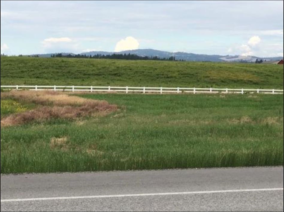 11307 North Bruce Road Mead, WA 99021 - Photo 3 of 4