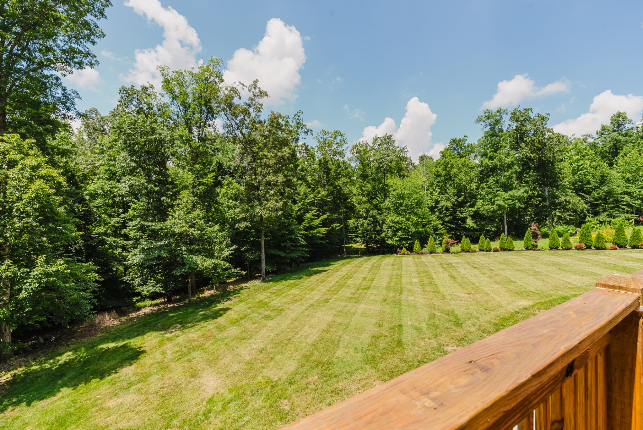 1210 Black Road Cunningham, TN 37052 - Photo 18 of 23 Gallery Image 18