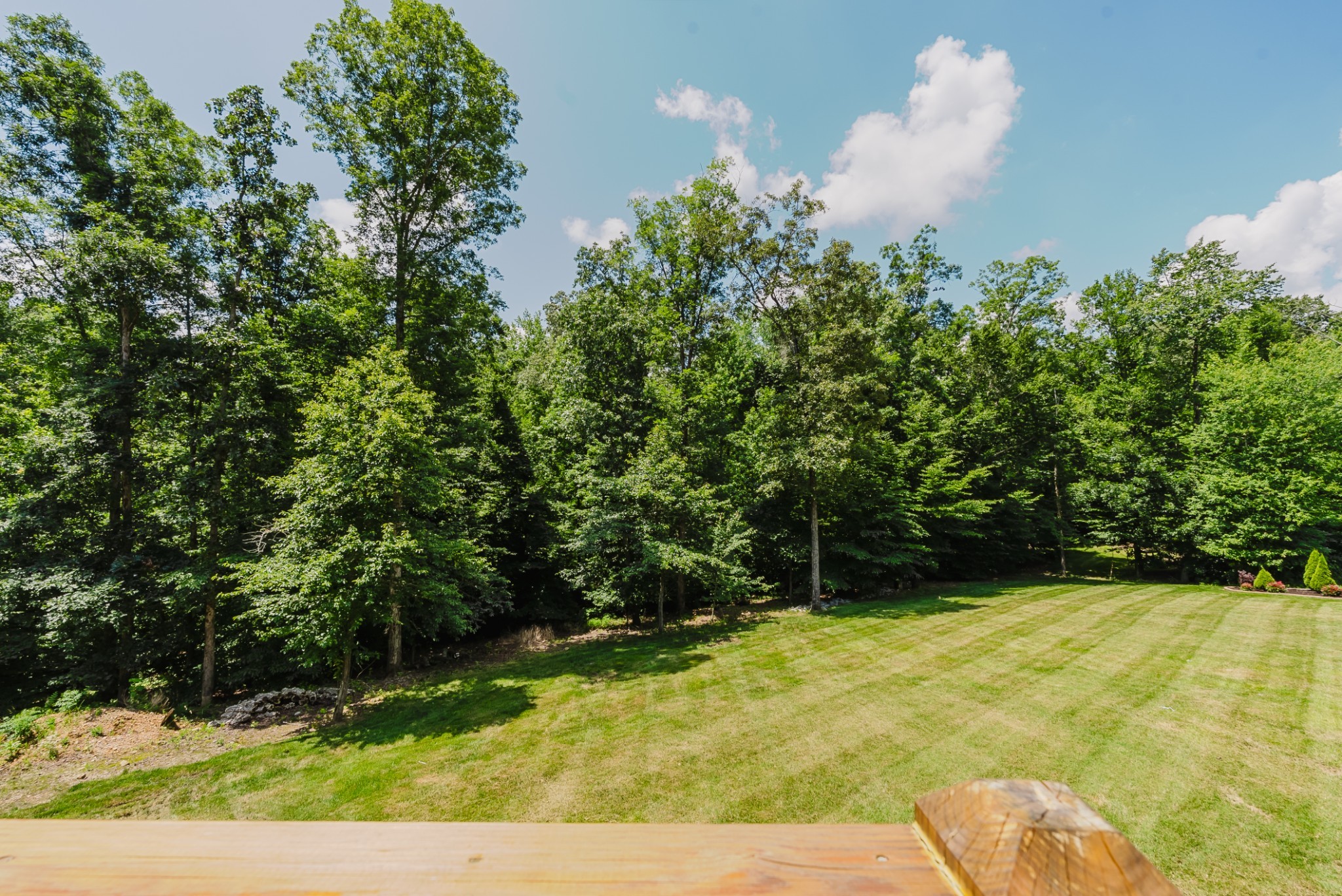 1210 Black Road Cunningham, TN 37052 - Photo 19 of 23 Gallery Image 19