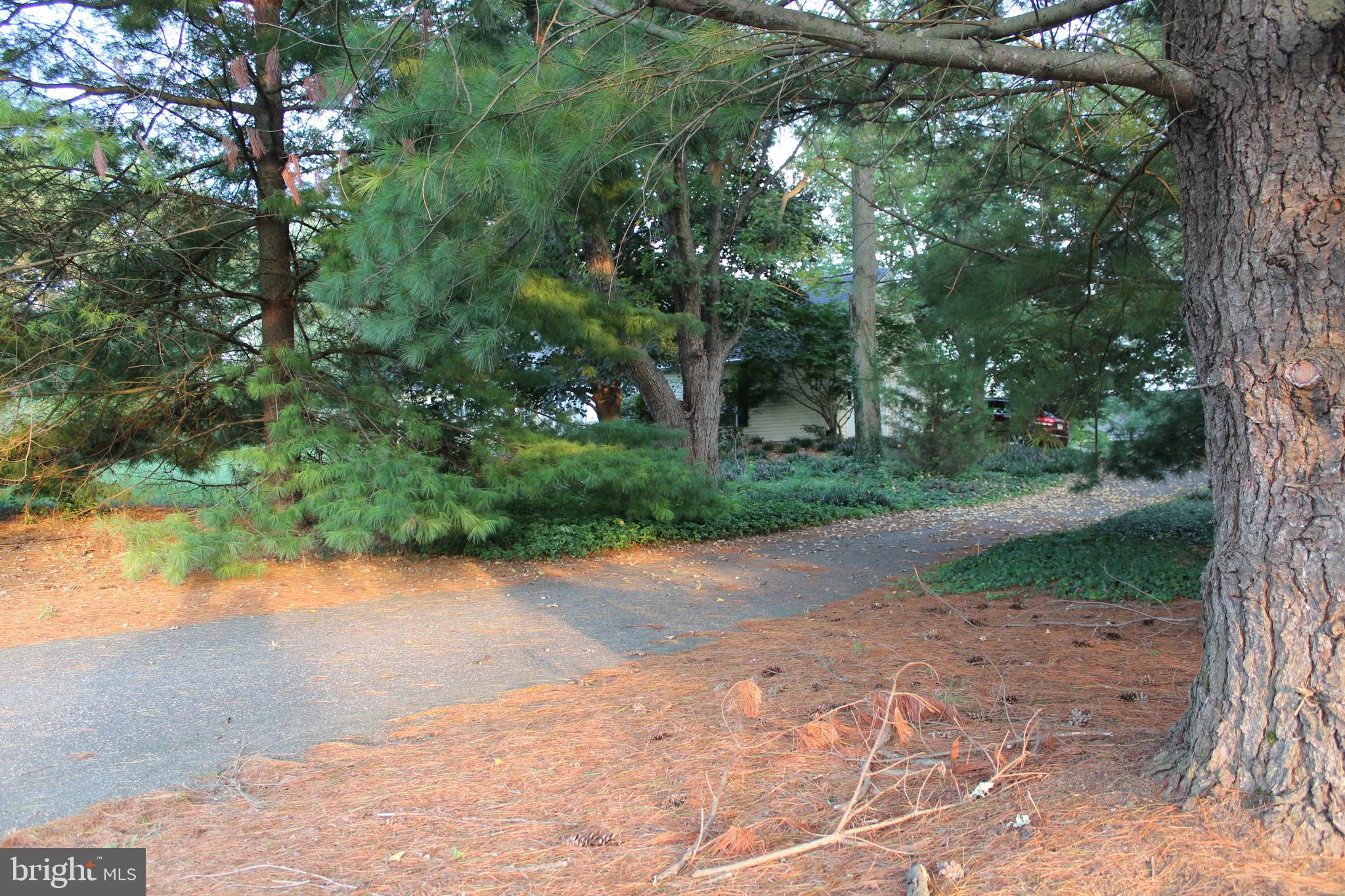 73 Biddle Road Carlisle, PA 17015 - Photo 32 of 87 Gallery Image 32