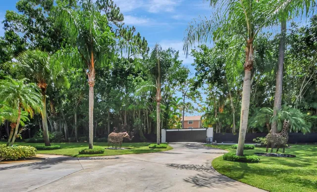 a view of a park that has a tree on the side of it