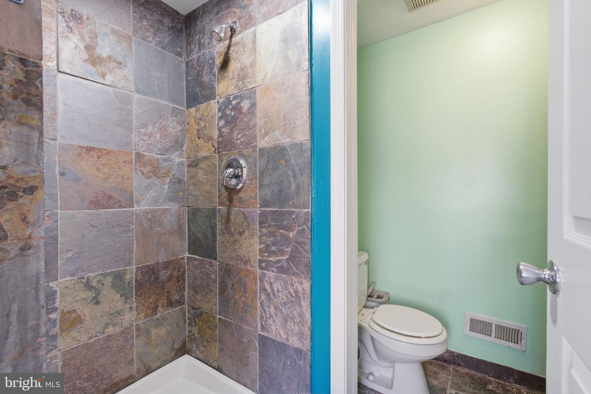 116 West Clement Street Baltimore, MD 21230 - Photo 14 of 32 a bathroom with a shower and toilet