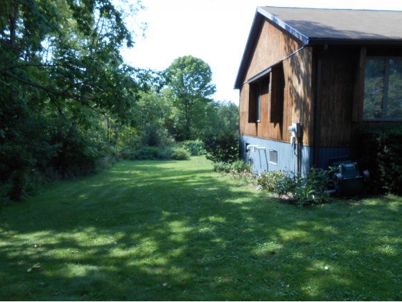 321 Monkey Run Road Port Crane, NY 13833 - Photo 3 of 24 Gallery Image 3