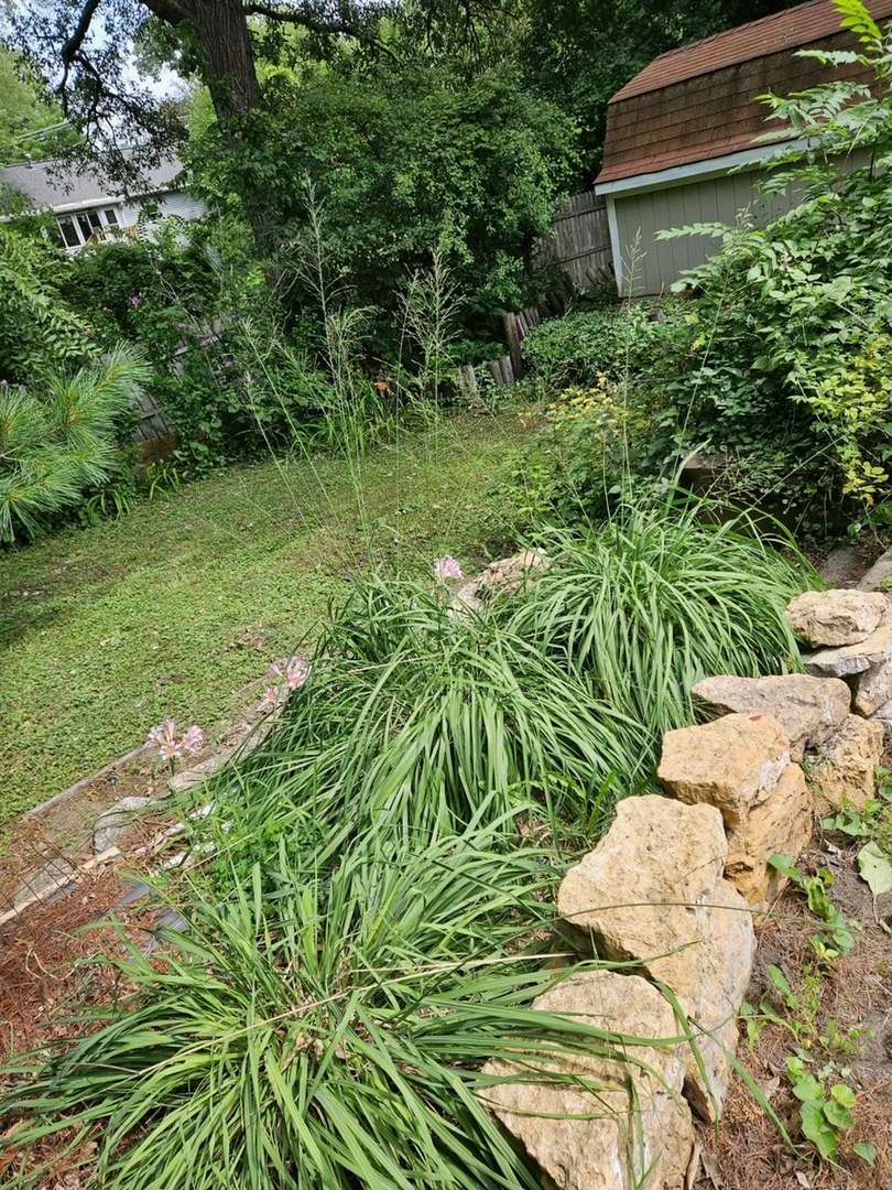 416 Madison Avenue Dixon, IL 61021 - Photo 34 of 34 a view of a yard with plants and large trees