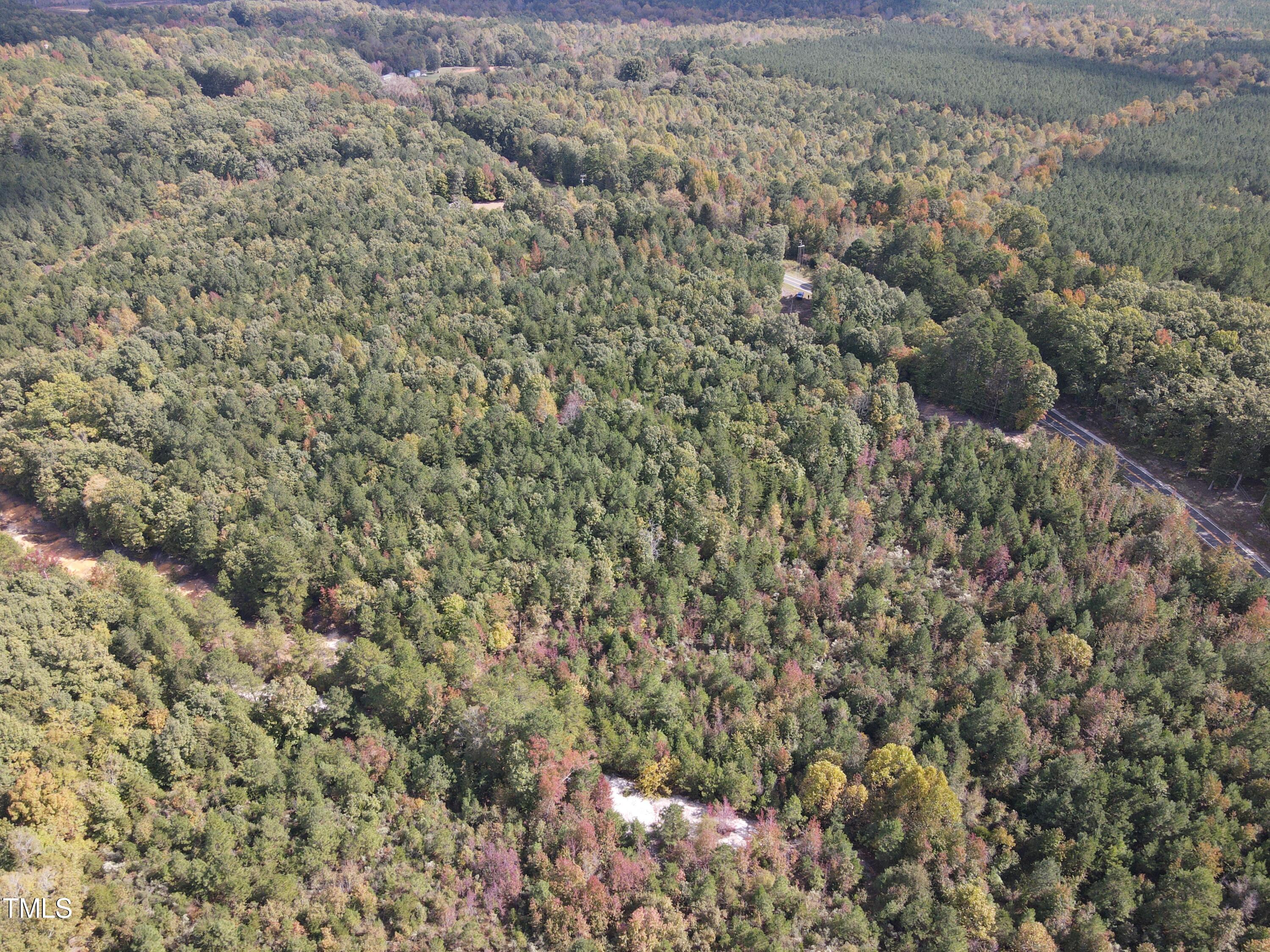 0 Tungsten Mine Road Bullock, NC 27507 - Photo 13 of 15
