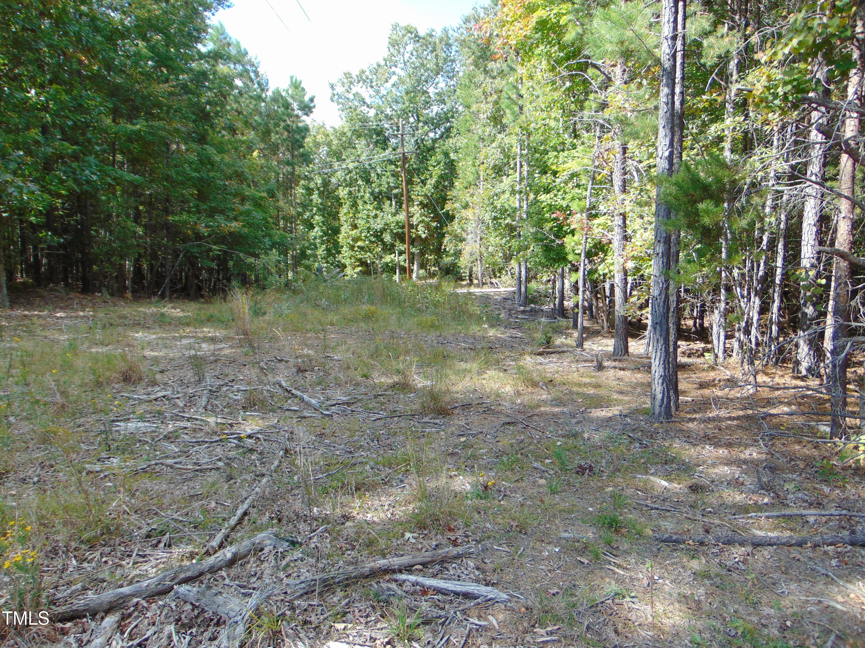 0 Tungsten Mine Road Bullock, NC 27507 - Photo 2 of 15 a view of a yard with a tree