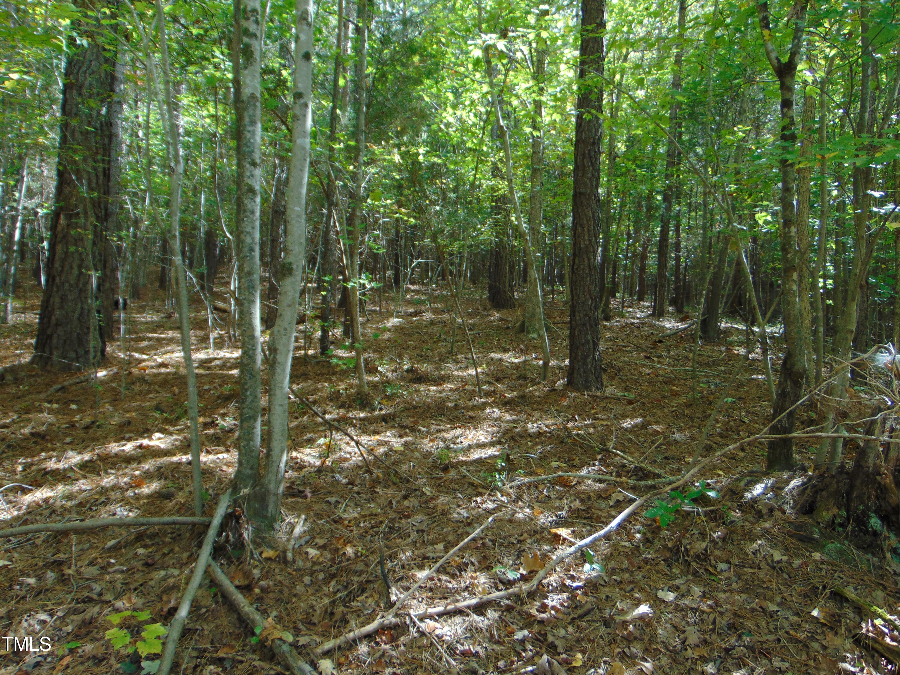 0 Tungsten Mine Road Bullock, NC 27507 - Photo 4 of 15 a backyard of a house with lots of green space