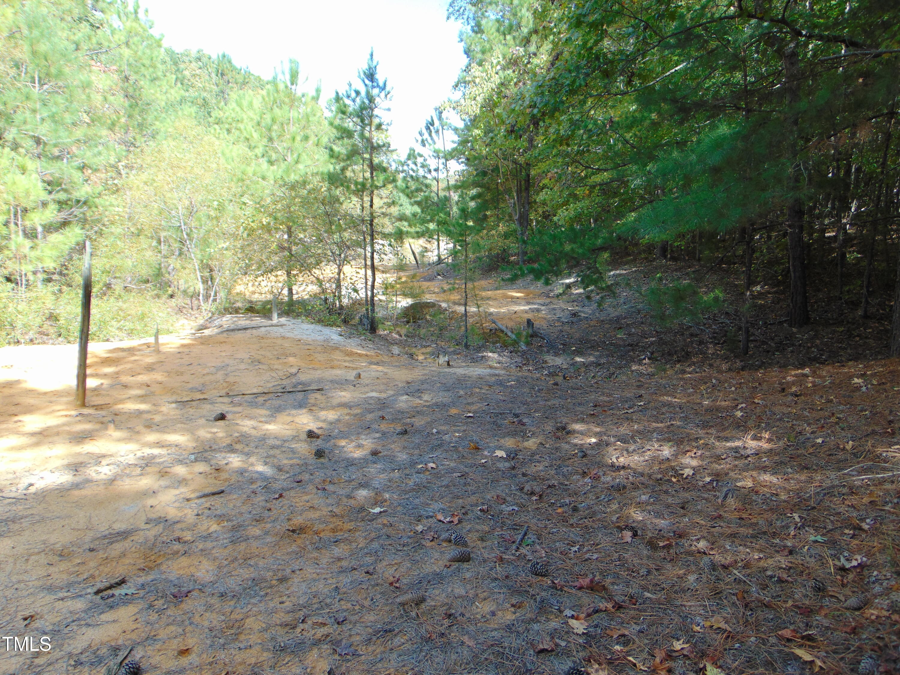 0 Tungsten Mine Road Bullock, NC 27507 - Photo 6 of 15 a view of a forest with trees in the background