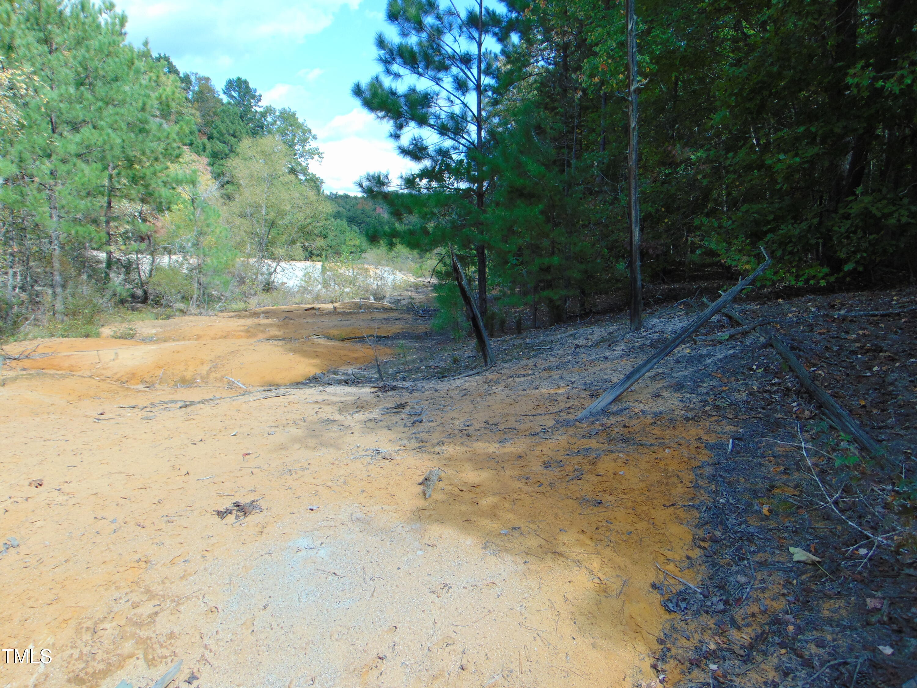 0 Tungsten Mine Road Bullock, NC 27507 - Photo 7 of 15 a view of dirt yard with a tree