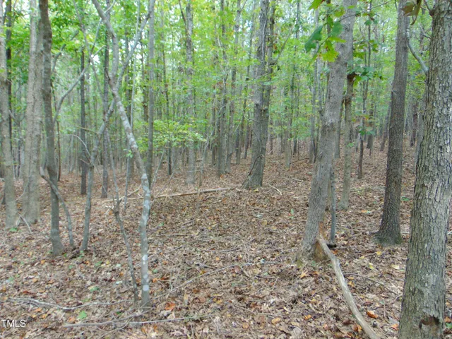 a view of a yard with trees in the background