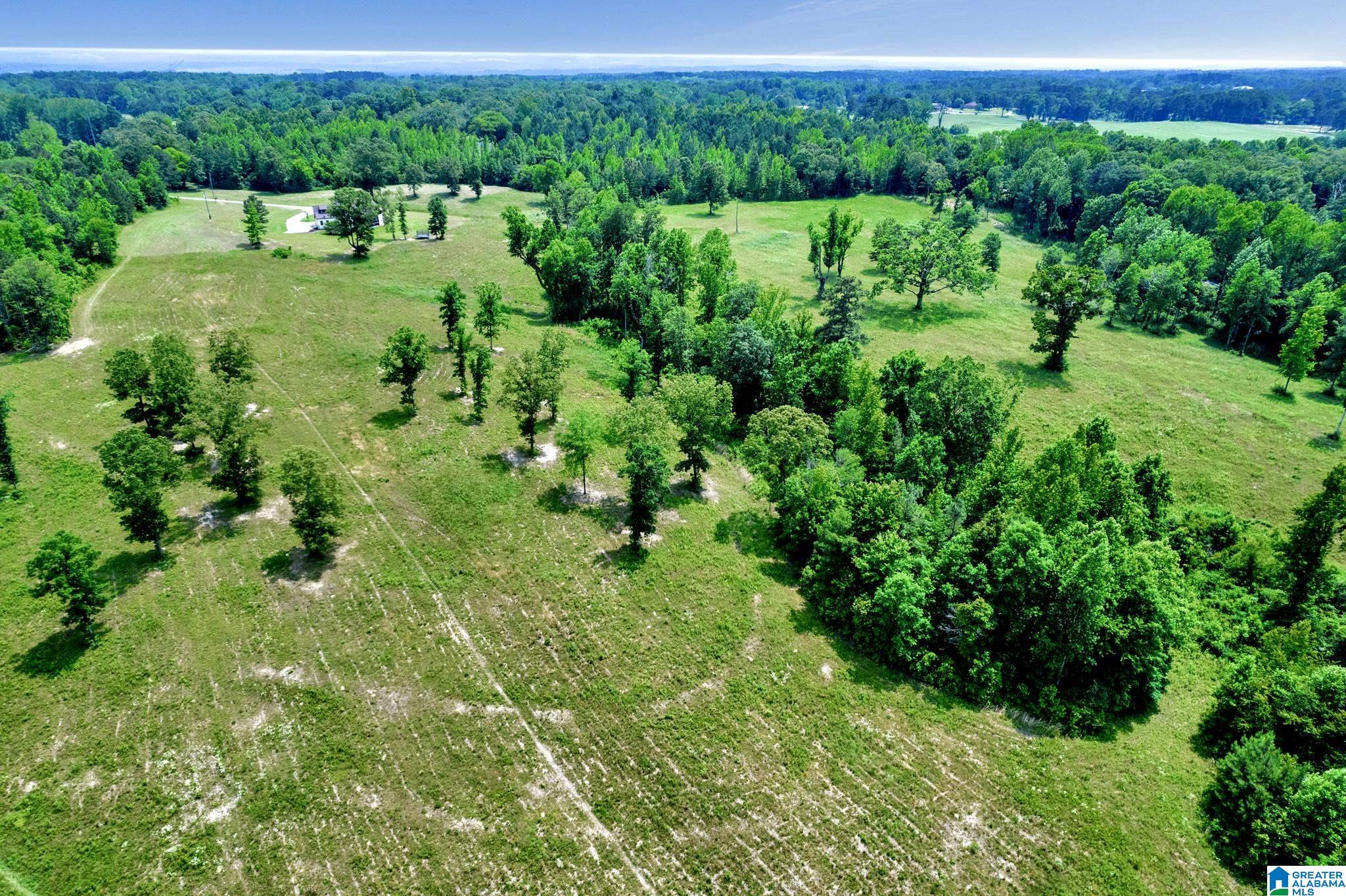 2775 Corner Road Warrior, AL 35180 - Photo 41 of 49