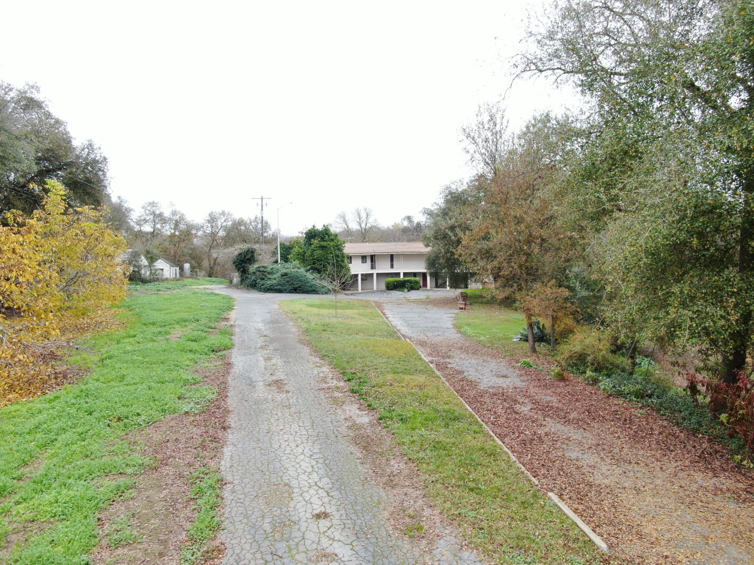 a view of a street with a yard and large trees