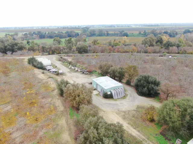 a view of a dry yard with trees