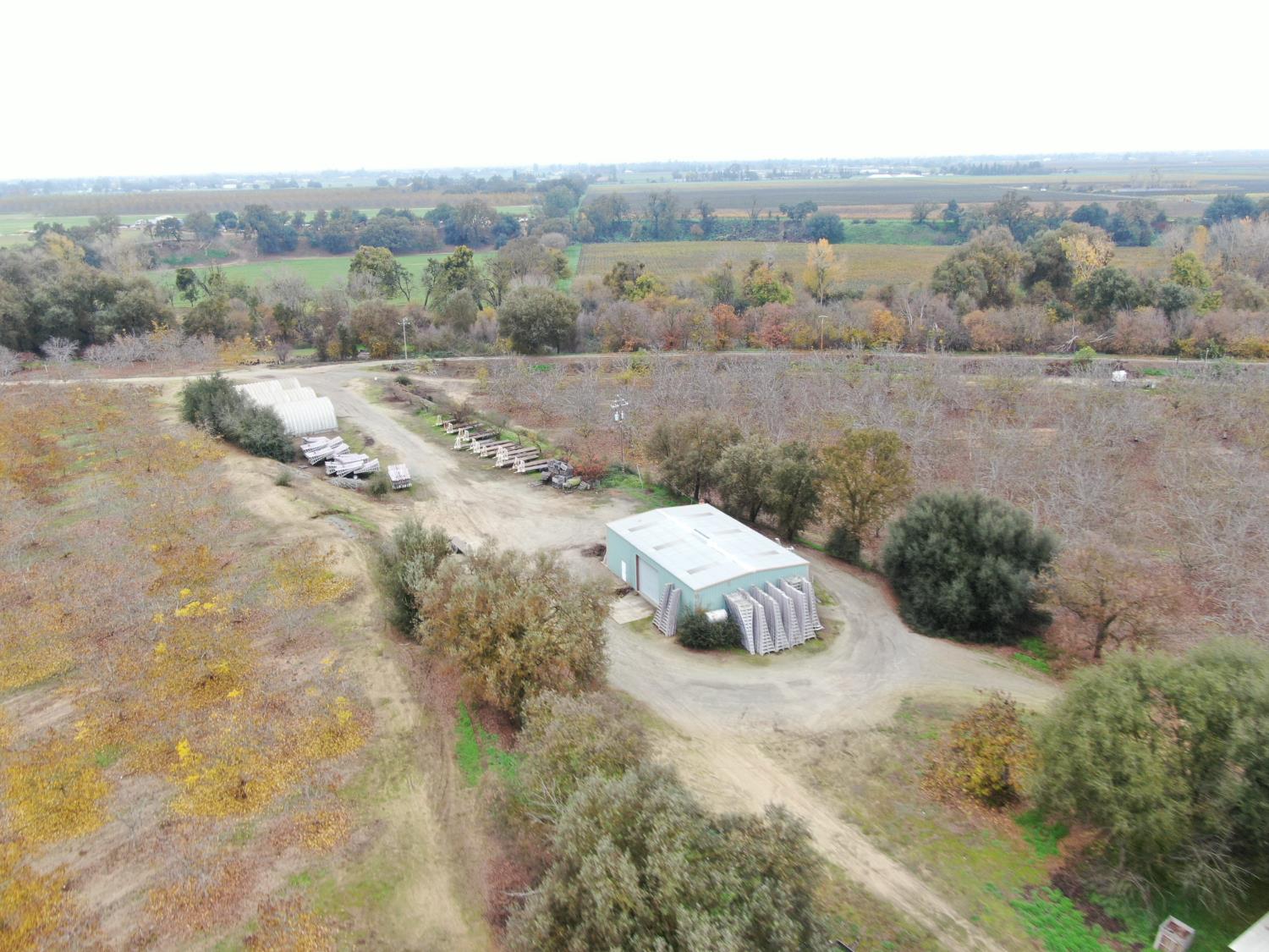 20800 Elliott Road Lockeford, CA 95237 - Photo 7 of 14 a view of a dry yard with trees