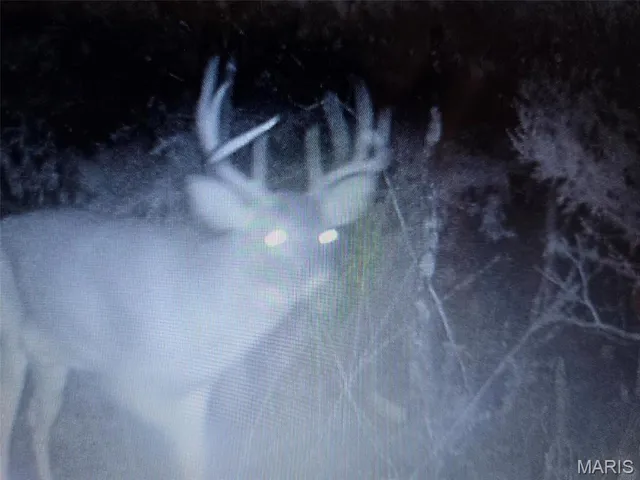 $499,900 | 95 Deerfield Lane, Long Lane, MO 65590