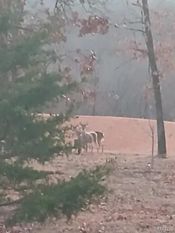 $499,900 | 95 Deerfield Lane, Long Lane, MO 65590