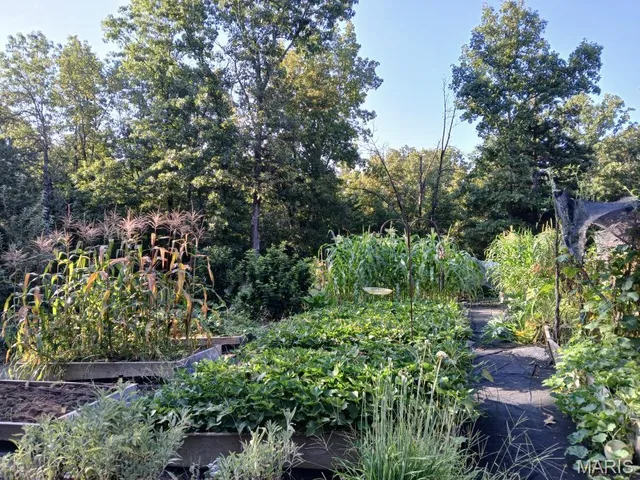 $499,900 | 95 Deerfield Lane, Long Lane, MO 65590