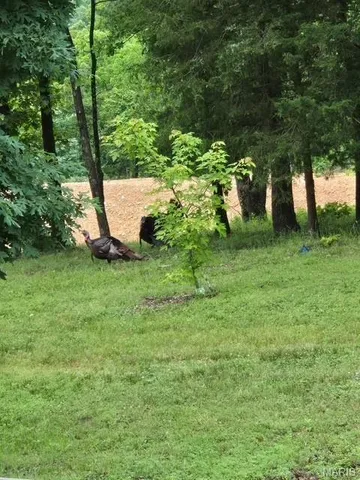 $499,900 | 95 Deerfield Lane, Long Lane, MO 65590