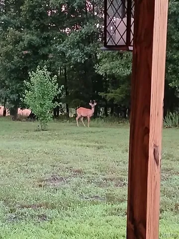 $499,900 | 95 Deerfield Lane, Long Lane, MO 65590