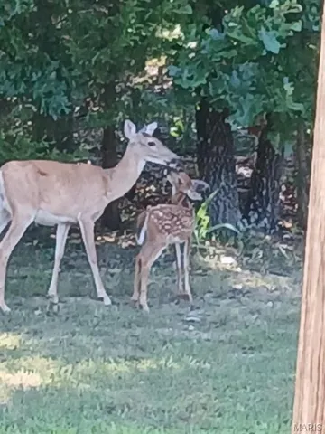 $499,900 | 95 Deerfield Lane, Long Lane, MO 65590