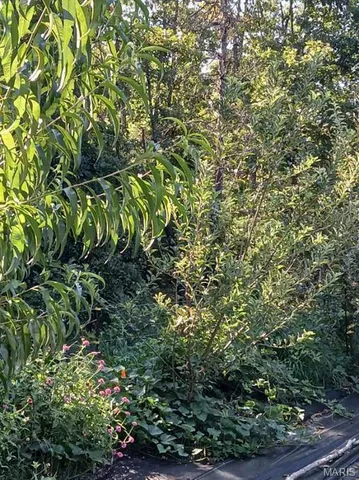 $499,900 | 95 Deerfield Lane, Long Lane, MO 65590