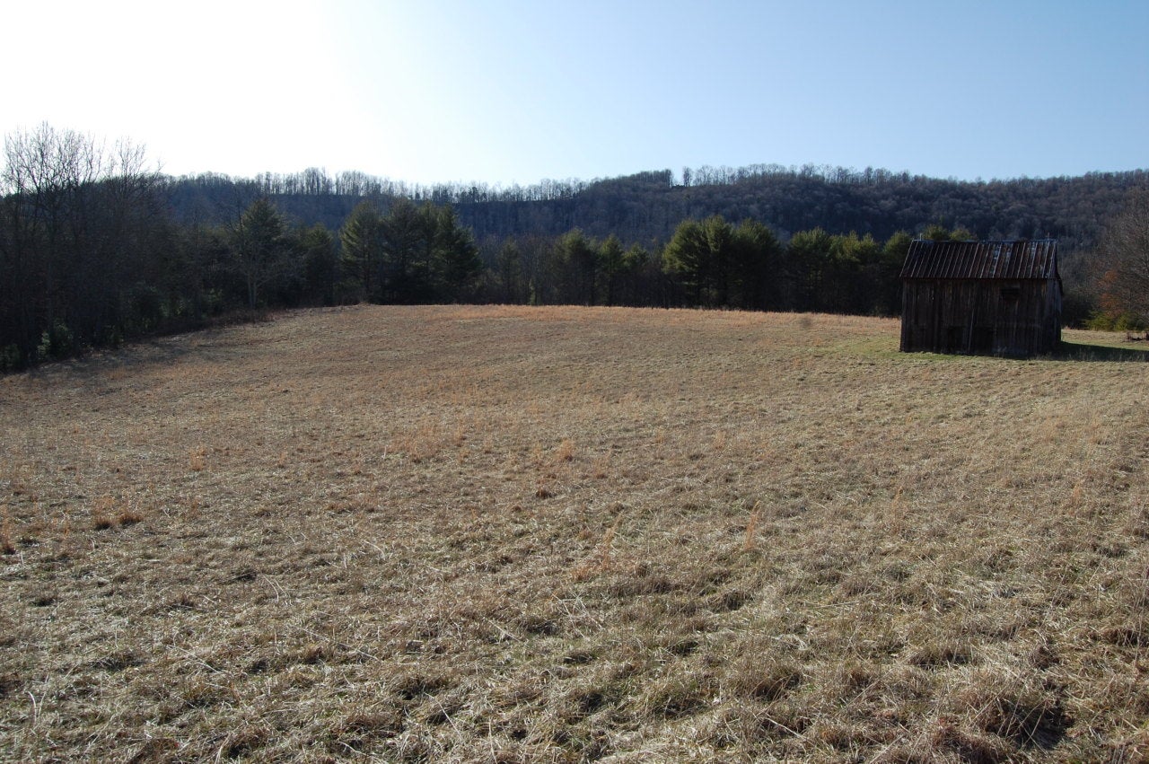 1305 Ellery Lloyd Road Union, WV 24983 - Photo 17 of 37 Gallery Image 17