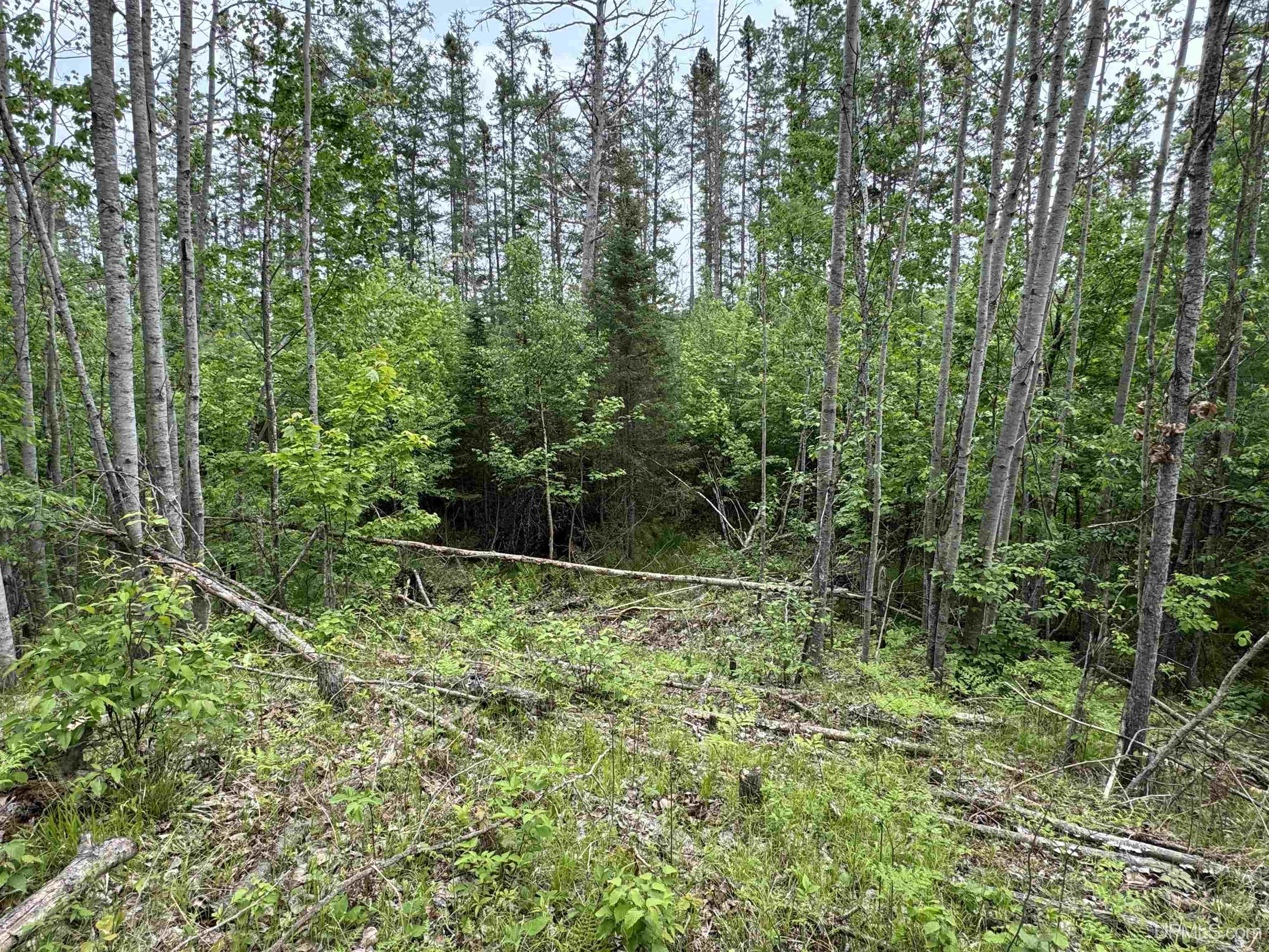 112 Blueberry Corner Road Crystal Falls, MI 49920 - Photo 11 of 19 Gallery Image 11