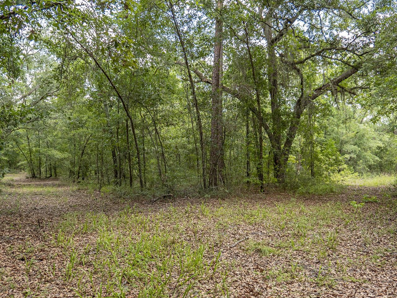 Vacant Southwest Hike Lake Road Madison, FL 32340 - Photo 20 of 35