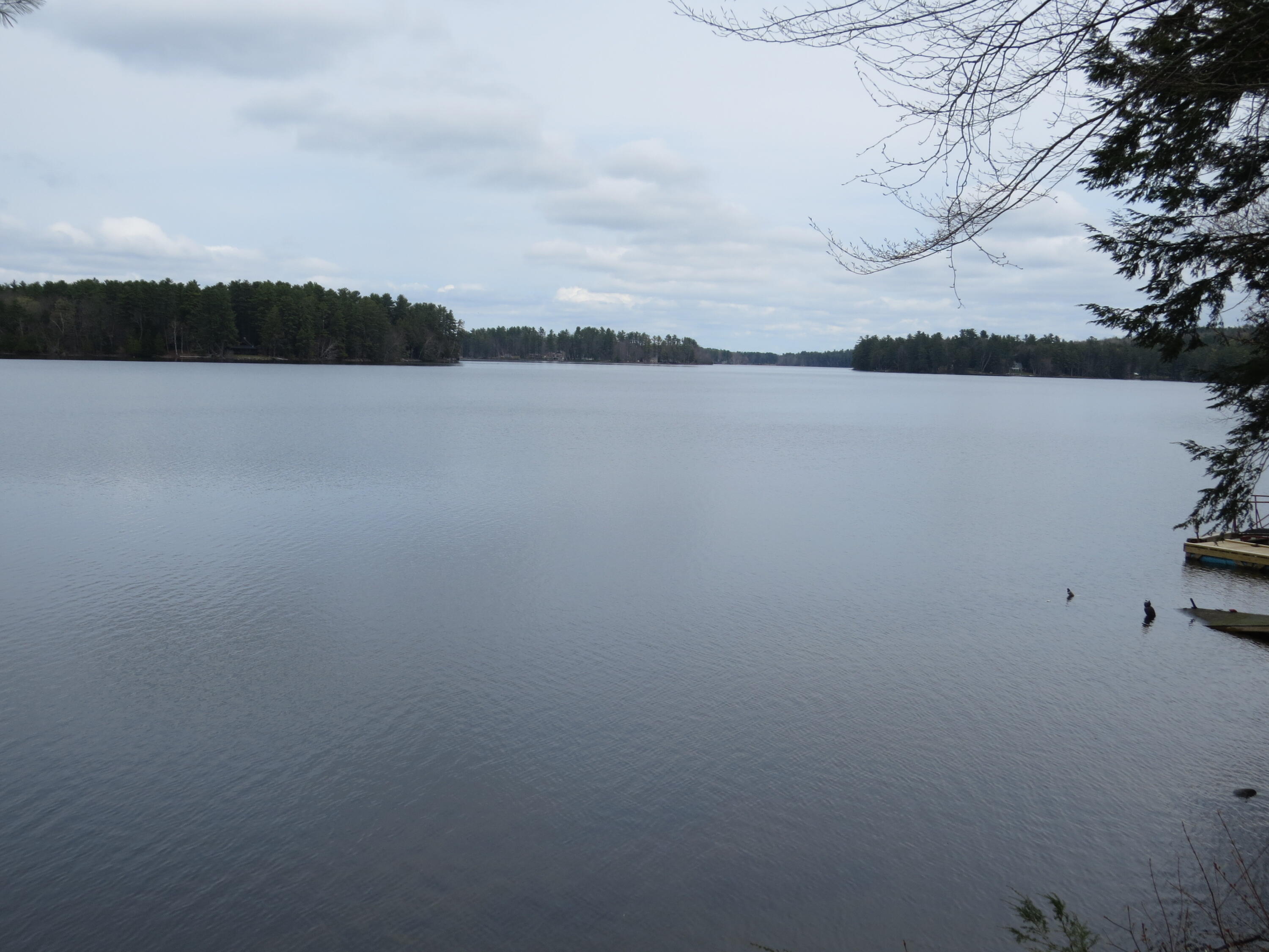 0 Old Lodge Road Litchfield, ME 04350 - Photo 10 of 27 IMG_4689