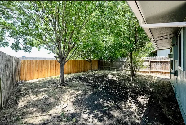 a view of a backyard with large tree