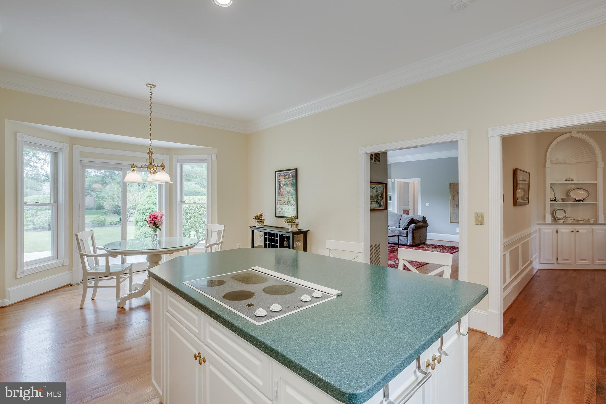 6504 Griffith Road Gaithersburg, MD 20882 - Photo 15 of 73 Kitchen Island with down-draft cooktop