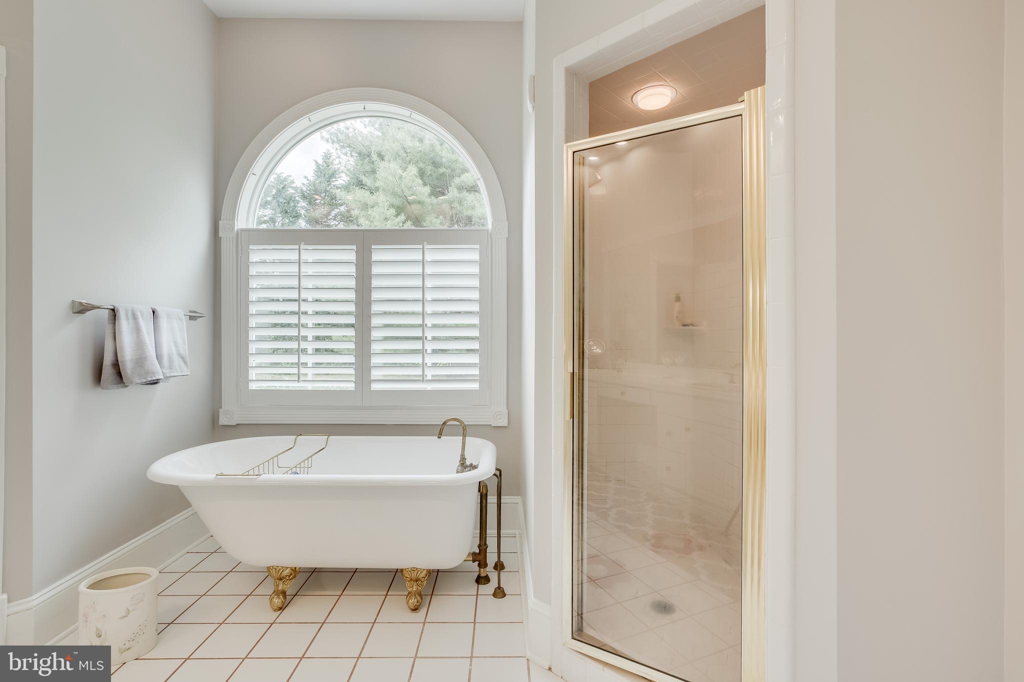 6504 Griffith Road Gaithersburg, MD 20882 - Photo 27 of 73 Master Bath with soaking tub and separate shower