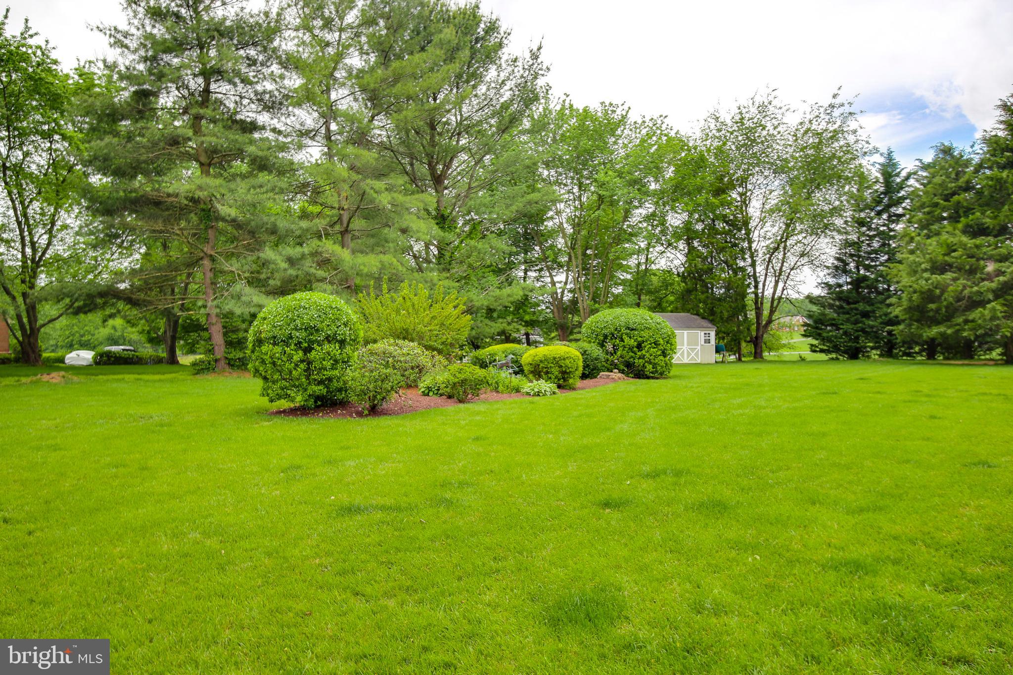 6504 Griffith Road Gaithersburg, MD 20882 - Photo 59 of 73 Level back yard with lovely landscaping