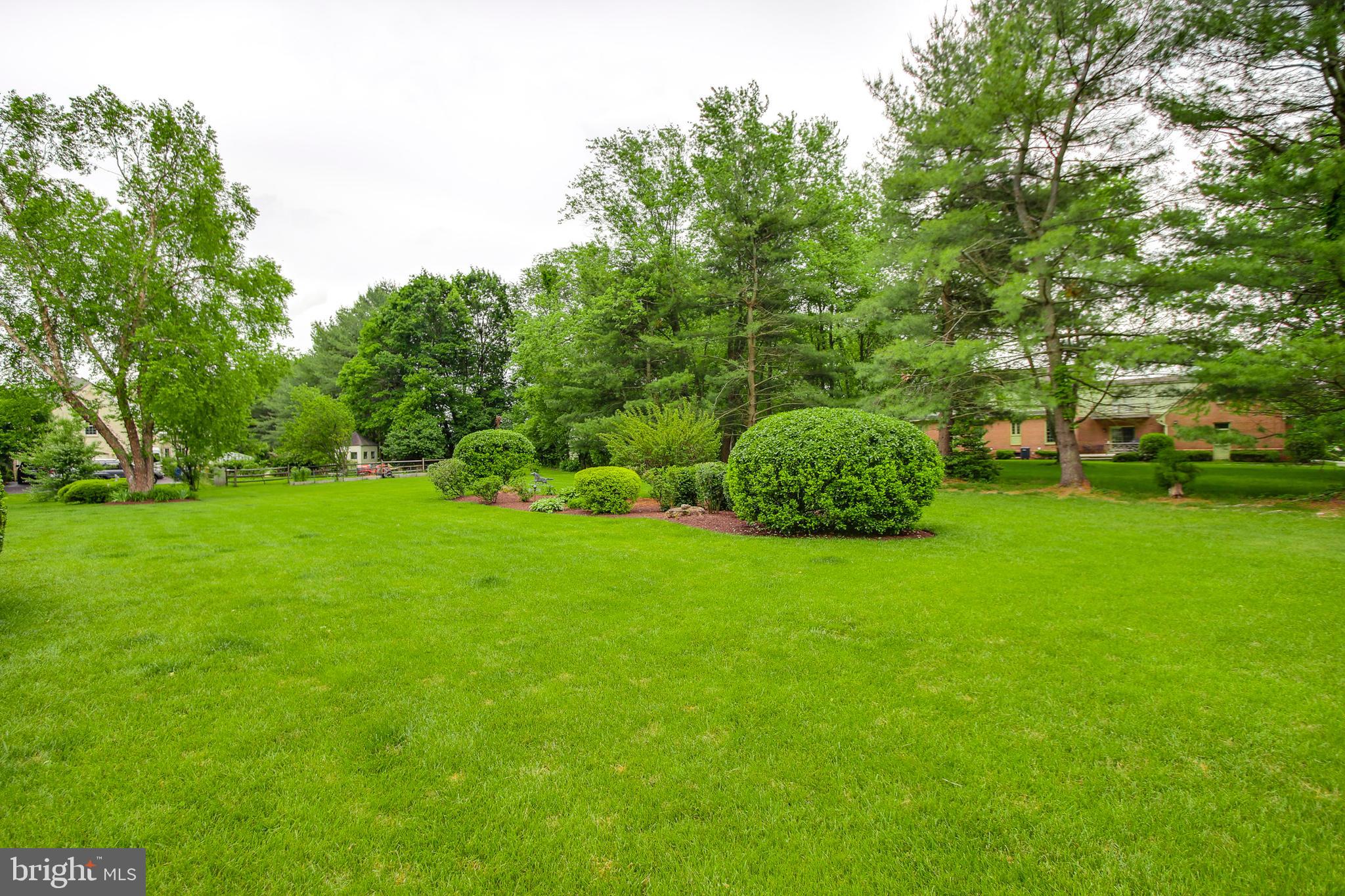 6504 Griffith Road Gaithersburg, MD 20882 - Photo 60 of 73 Level back yard