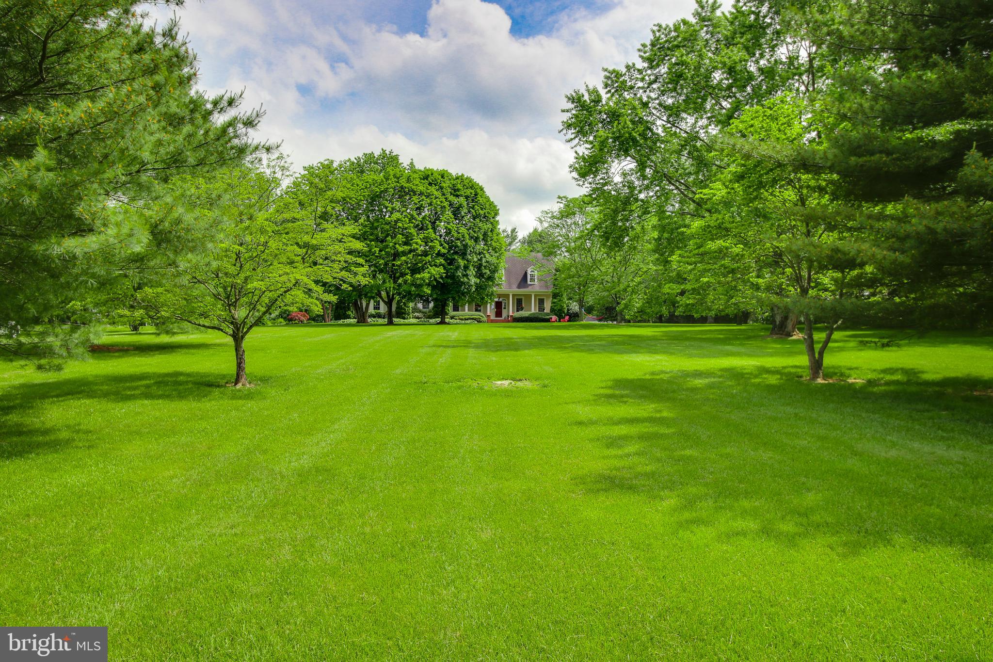 6504 Griffith Road Gaithersburg, MD 20882 - Photo 72 of 73 Front yard towards home