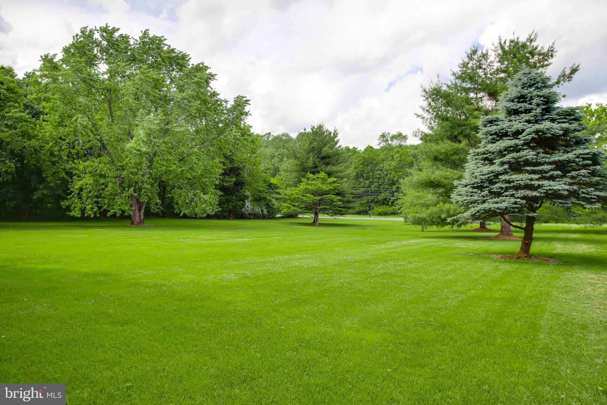 6504 Griffith Road Gaithersburg, MD 20882 - Photo 73 of 73 Front yard view