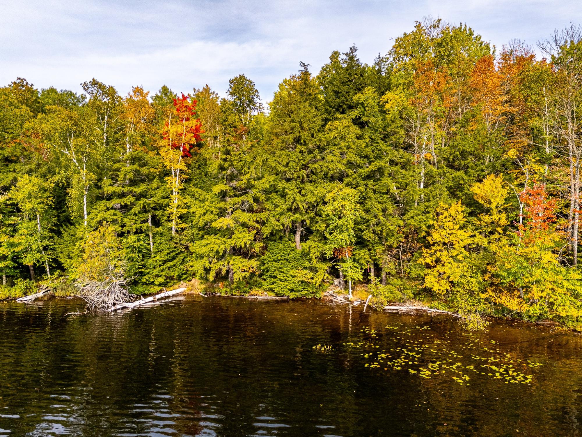Lot 1 Bartsch Road Presque Isle, WI 54557 - Photo 42 of 50 Gallery Image 42