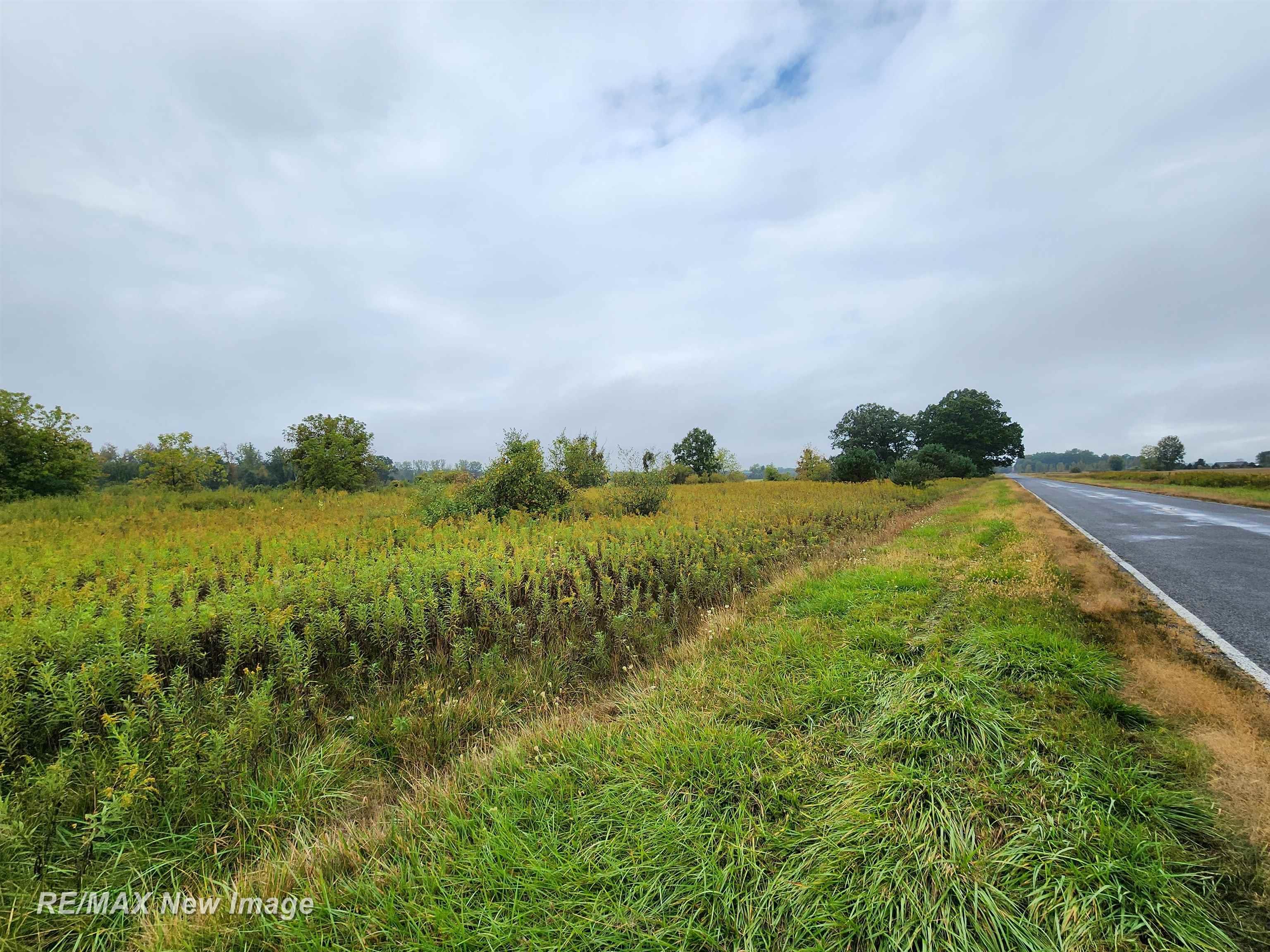 Ithaca Road St. Charles, MI 48655 - Photo 2 of 21