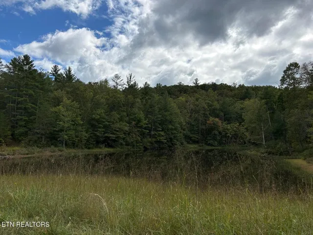 $25,000 | 113 Bear Den Trail, Grandview, TN 37337