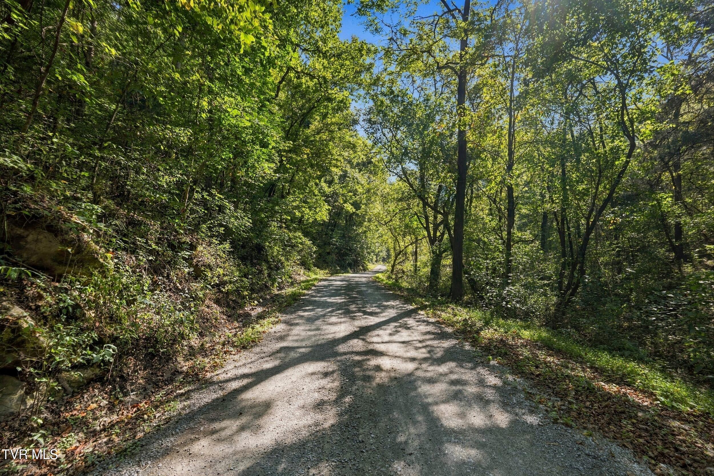 2918 Copper Creek Road Duffield, VA 24244 - Photo 28 of 31 dsc07021