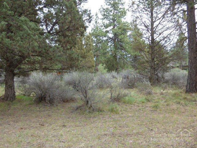 3202 McClellan Road Bend, OR 97702 - Photo 18 of 25 a view of a forest