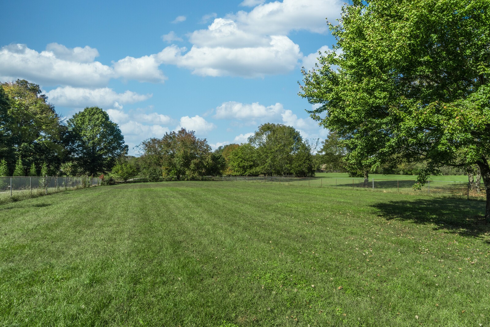155 Smith Road Portland, TN 37148 - Photo 22 of 24 a view of field with trees in the background