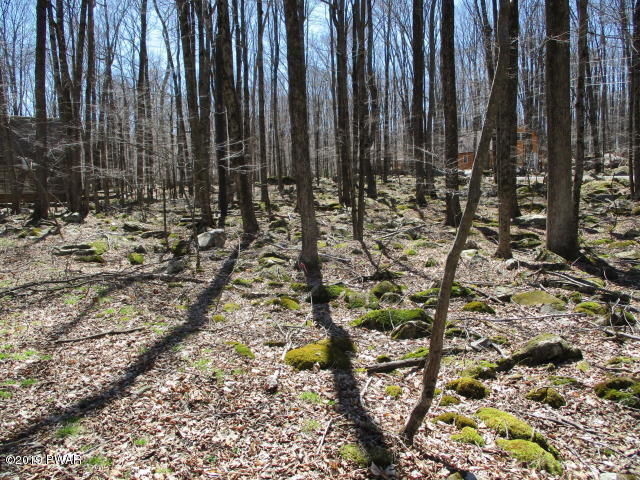 167 Lake Road Lake Ariel, PA 18436 - Photo 12 of 13