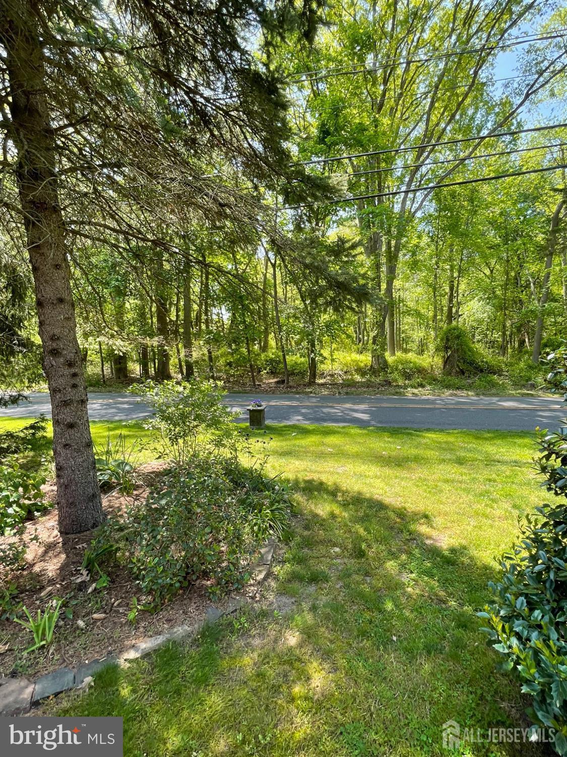181 Disbrow Hill Road Monroe Township, NJ 08831 - Photo 15 of 21 a view of a yard with swimming pool