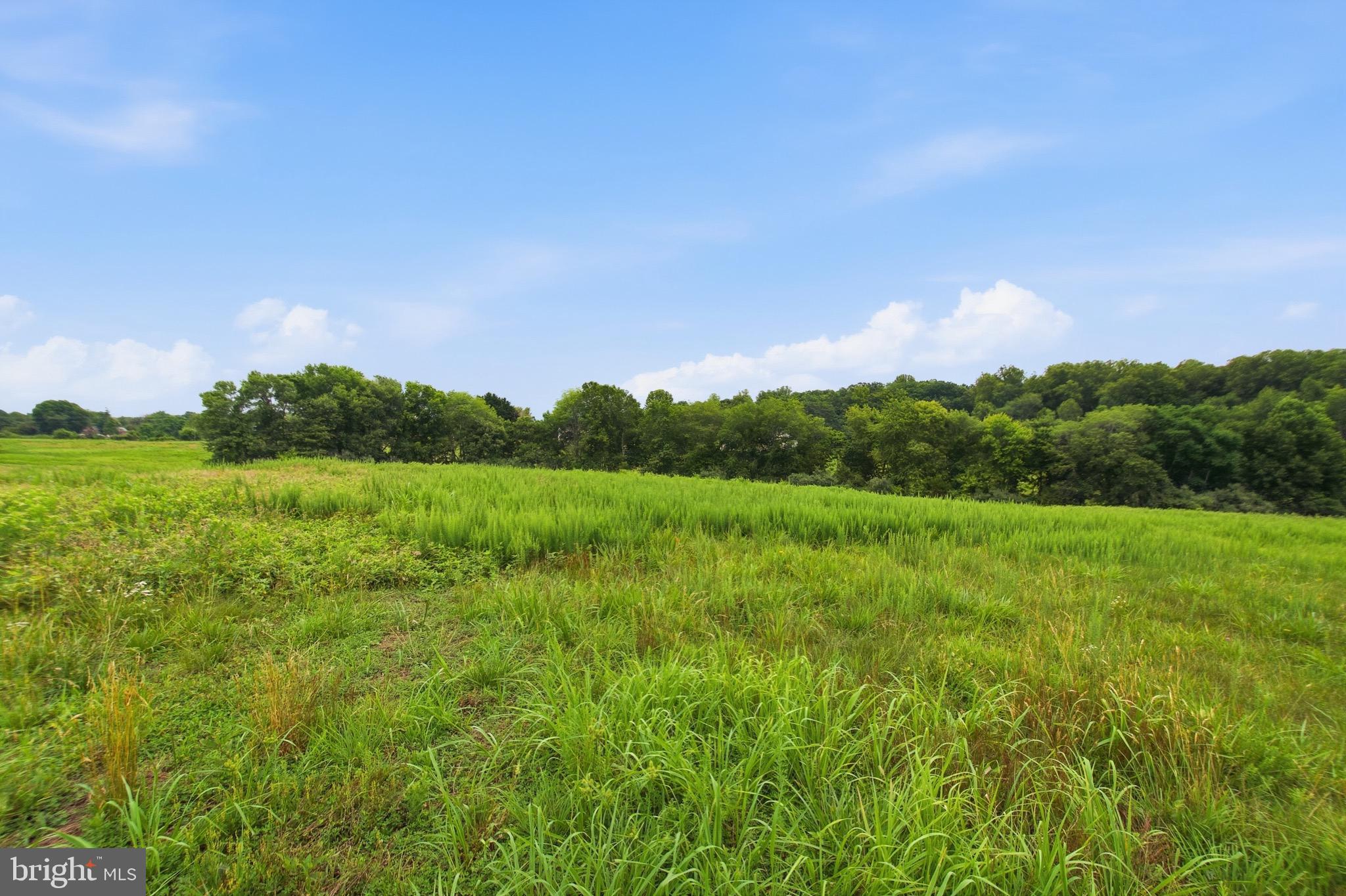 4407 Indian Run Road Amissville, VA 20106 - Photo 48 of 54
