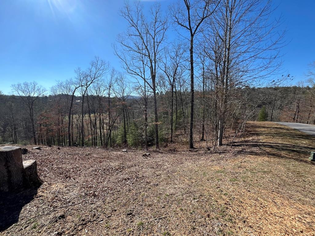 17 Fish Hawk Ridge Murphy, NC 28906 - Photo 1 of 6 Main View