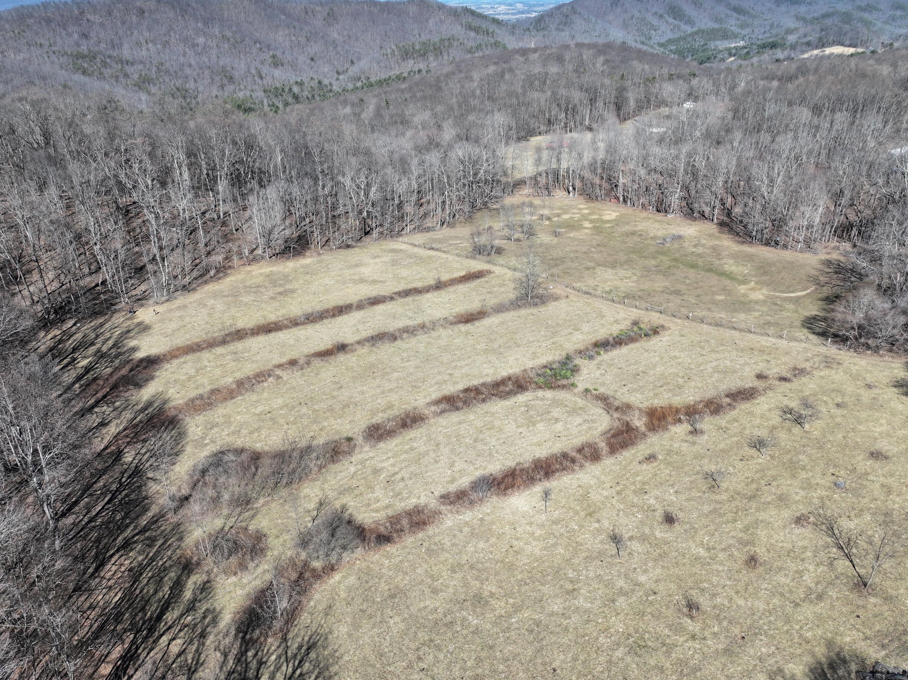 7341 Back Valley Road Lindside, WV 24951 - Photo 46 of 71 DJI_20260227183602_0117_D