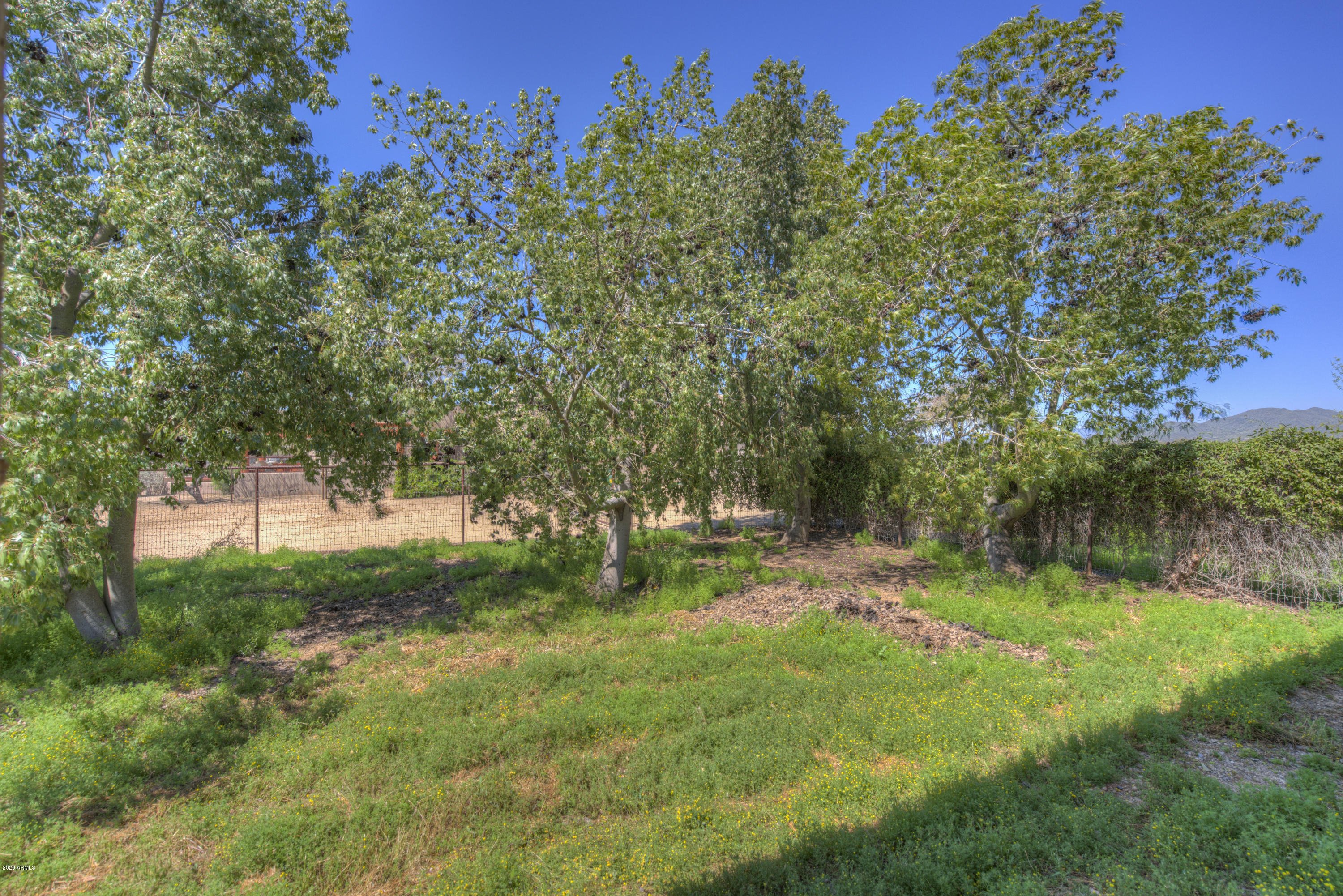 501 East Cloud Road Phoenix, AZ 85086 - Photo 26 of 29 Side yard