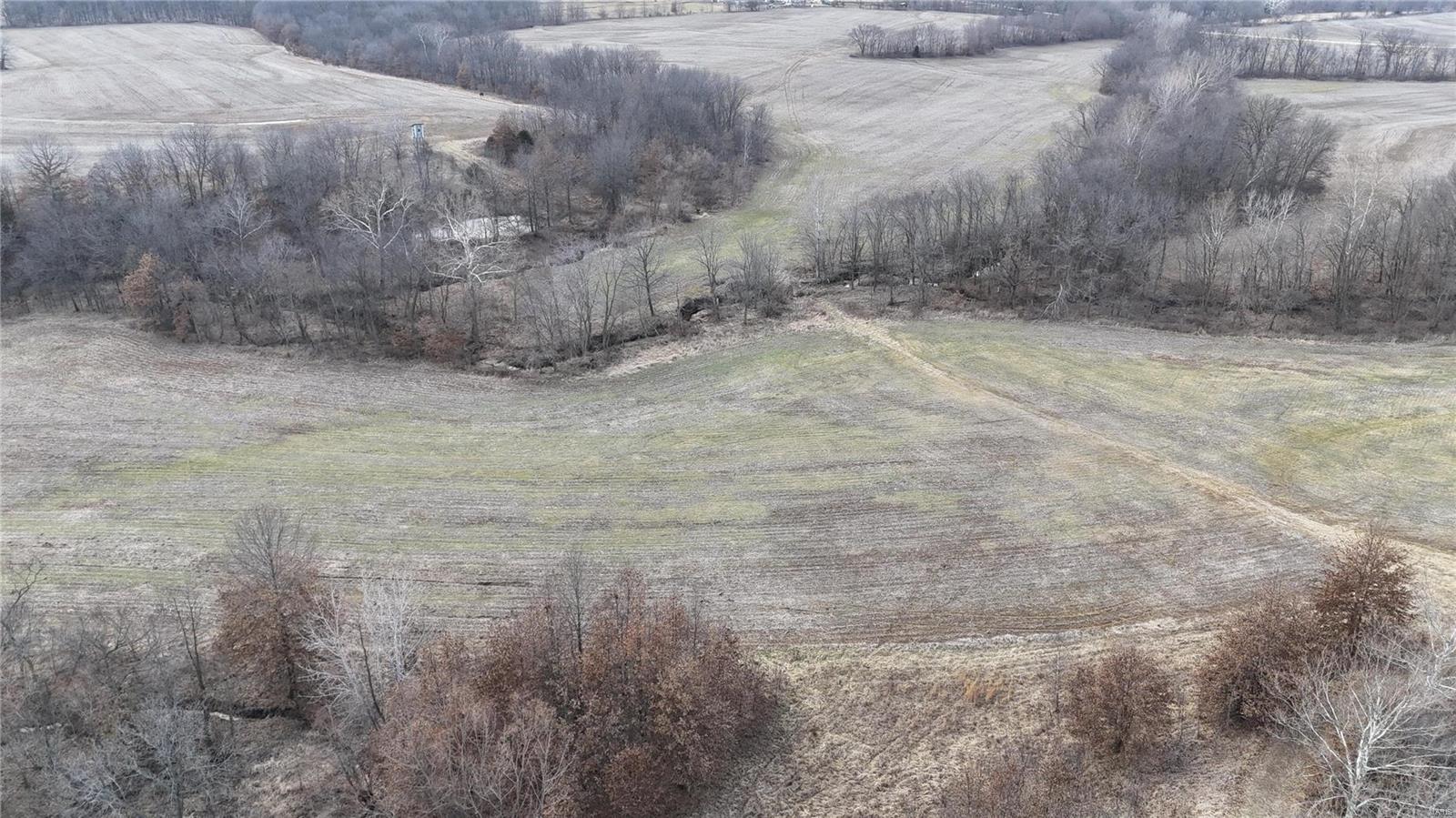 0 Pike 409 Bowling Green, MO 63334 - Photo 12 of 28